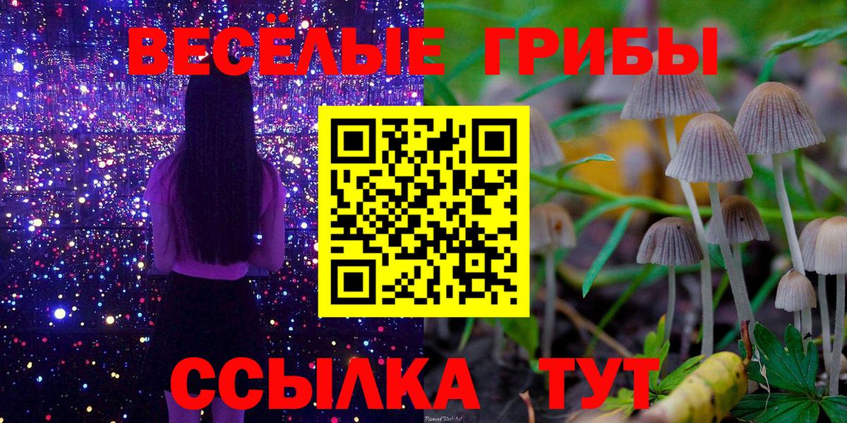 Галлюциногенные грибы мухоморы Сургут