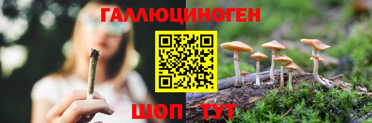 Псилоцибиновые грибы Cubensis  Вход с VPN  Сургут  Галлюциногенные грибы Psilocybe 